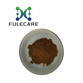Fulvic Acid Shilajit Powder