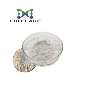 Lactobacillus fermentum