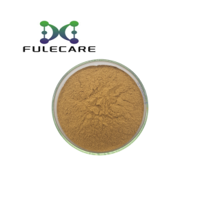 Amomum Villosum Powder